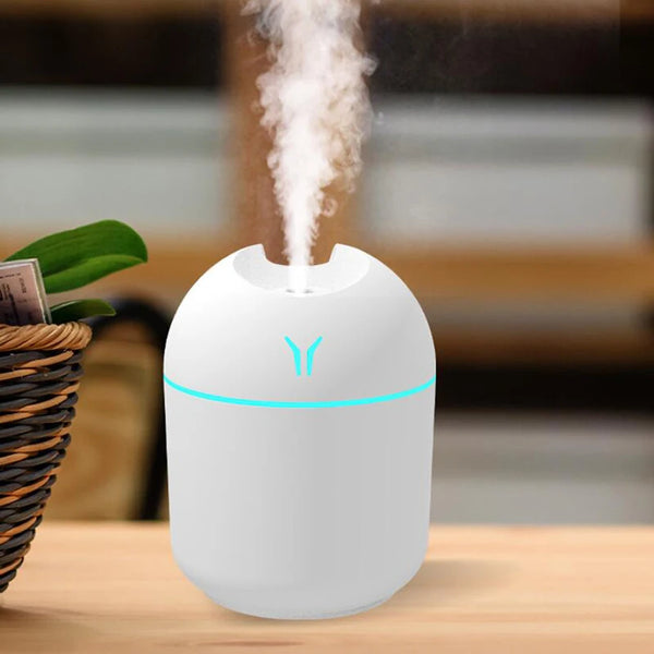 250ml USB Mini Humidifier & Aroma Diffuser – Ultrasonic Mist Maker with LED Light