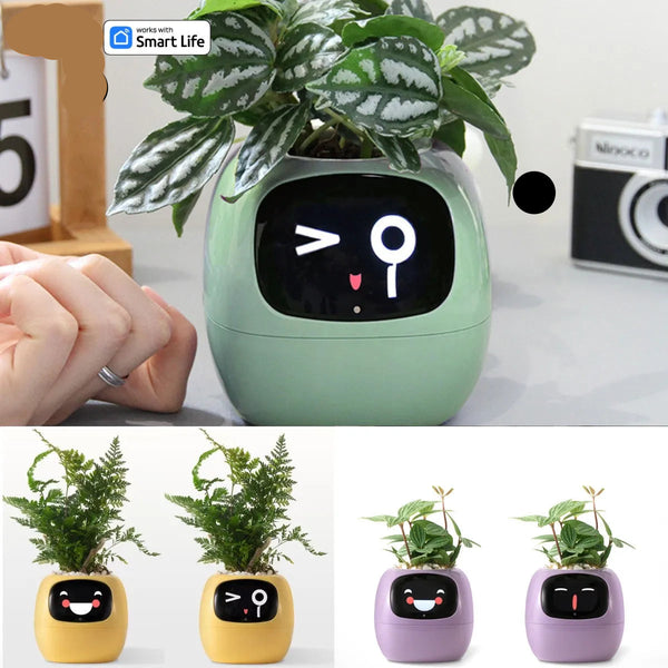 Ivy Smart Planter with 7 Smart Sensors AI Chips for Easy Plant Raising Rich Expressions Short and Eye Catching